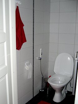 nimismies_006.jpg