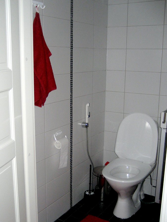 nimismies_006.jpg